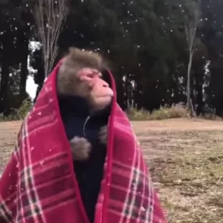 🤨