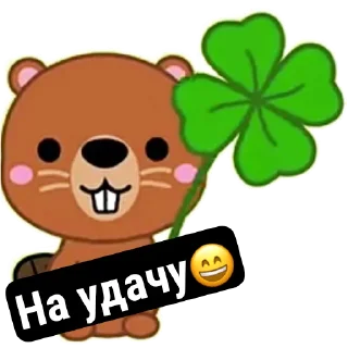 🍀