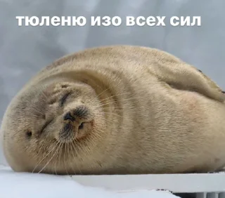 😴