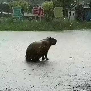 😭