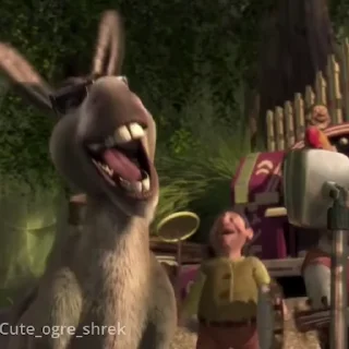 🤣