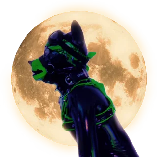 🐺