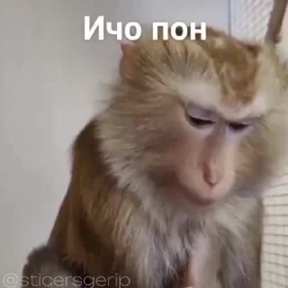 🥵