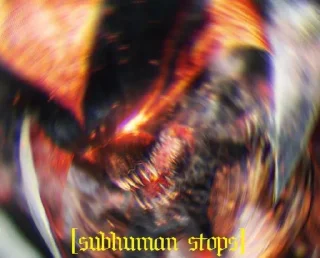 ❌