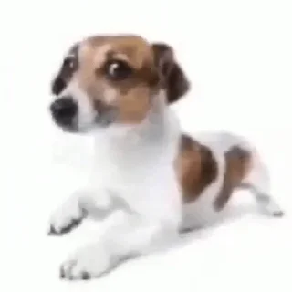 😑