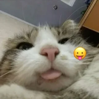 😛