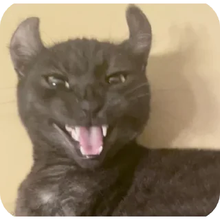 🤪