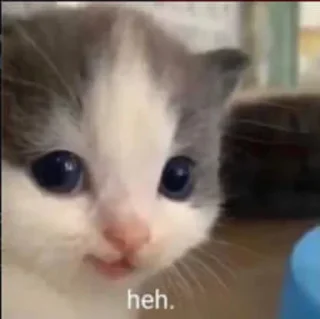 😋