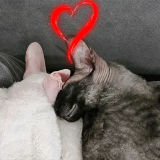 ❤️