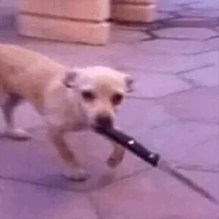 🙁