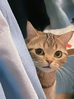 😕