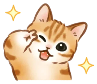 🐱