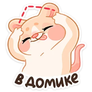 🤪