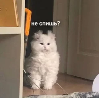🥴