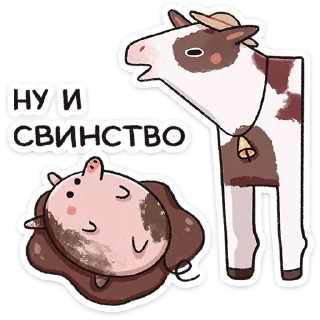 🐷
