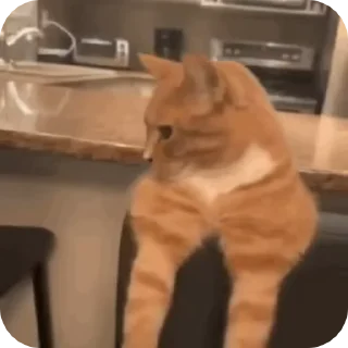 😒
