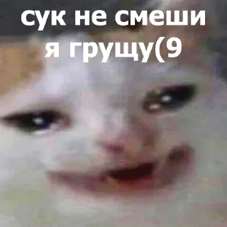 😆