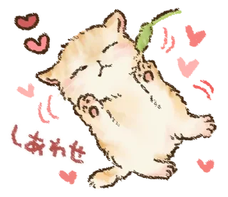 🐱
