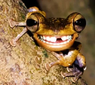 😁