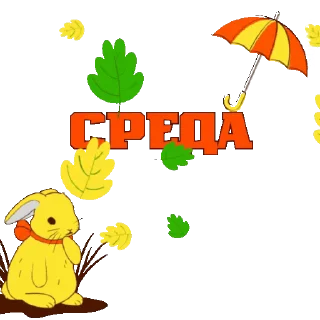 🍁