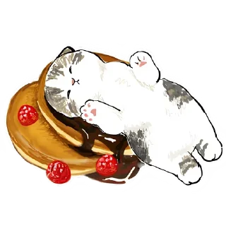 😴