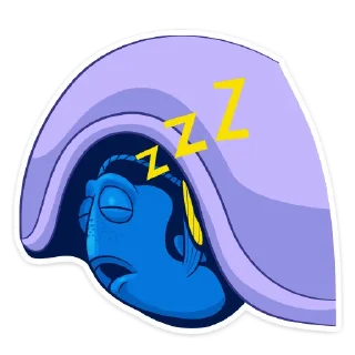 😴