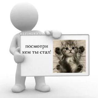 🐈