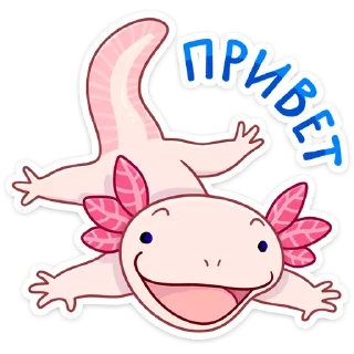 По и Фо (@TgSticker)