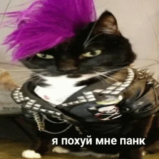 🤟