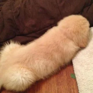 🍆