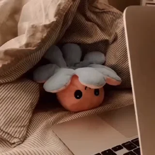 🐙