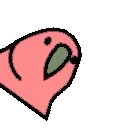 🦜