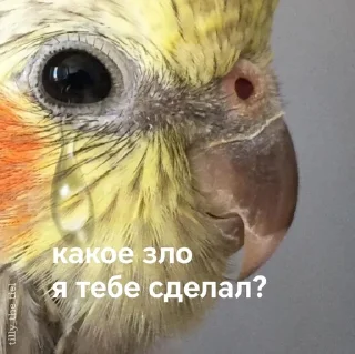 😢