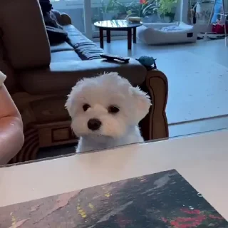 😶