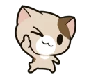 🐱