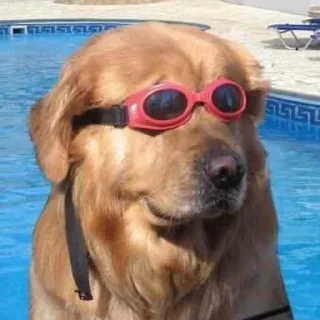 😎