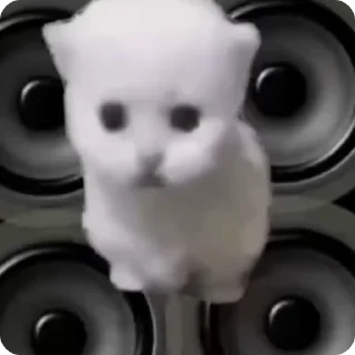 🎉