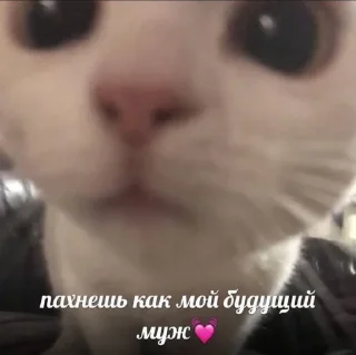 💓