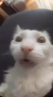😱