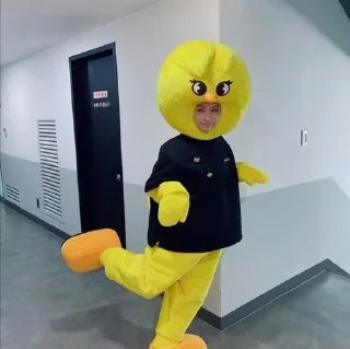 🐣