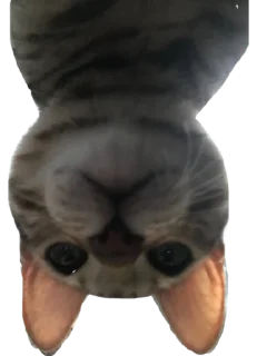👋