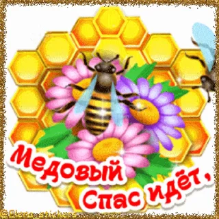 🍯