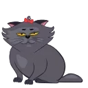 🐱