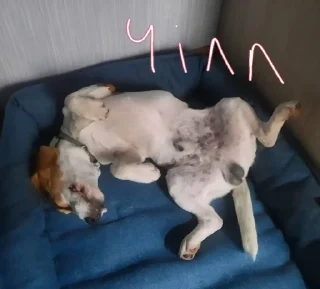 😌