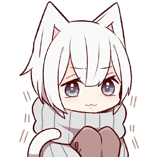🐱