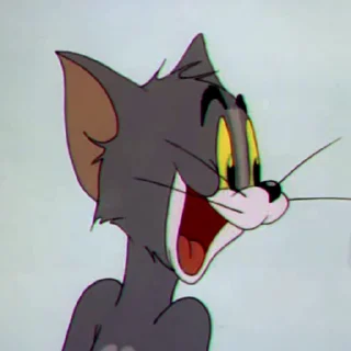 🍳