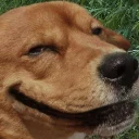 😏