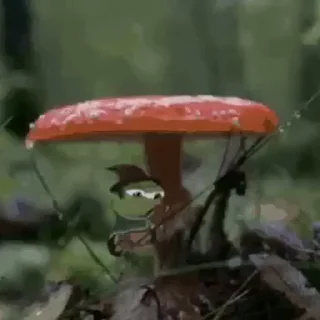 🍄