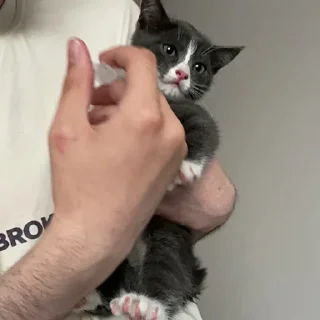 🥝