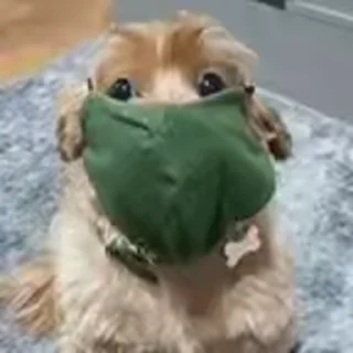 😷